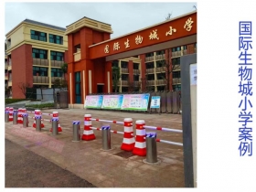 國際生物城小學升降柱現場案例